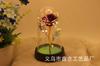 Día de San Valentín 520 Decoración Regalo Rosa Flor Eterna Decoración de Escritorio Regalo de Cumpleaños Adornos Pequeños Flor de Lámina de Oro