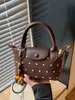 Bolsa de Bolinhas para Mulheres 2026 Novo Modelo de Verão, Pequena Bolsa de Mão Popular e Exquisite para Sair, Bolsa de Ombro, Bolsa Transversal para o Dia a Dia