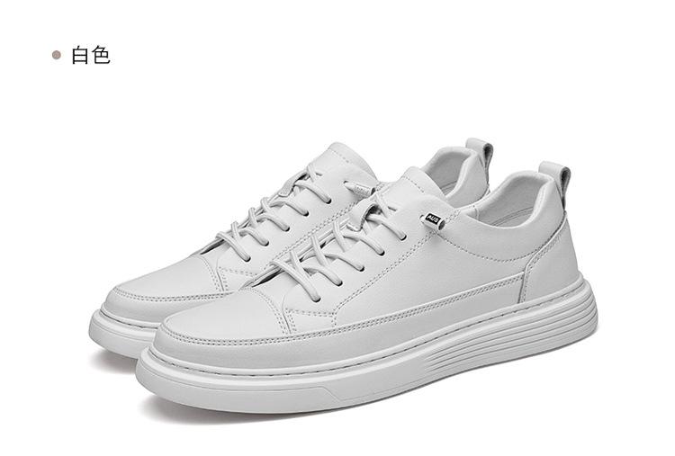 01-02-2_15.jpg?x-oss-process=image/format,png