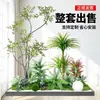 Paisagismo de Planta Artificial Varanda Arranjo de Paisagem Escada Interna Sob Árvore de Flores Artificiais Decoração Biomórfica Planta Verde Paisagismo Combinação