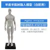 Manequim de resina de arte de 30 cm estrutura anatômica musculoesquelética modelo de arte CG pintura escultura ensino