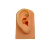 Suporte de Exibição Silicone Joias de Orelha Display de Fones de Ouvido Prática de Piercing Ensino Elástico Macio Modelo de Orelha Simulação Adereços