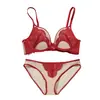Sujetador de Encaje de Pestañas Francés de Color Contrastante para Mujer, Primavera, Push-Up para Pecho Pequeño, Anti-Caída, Copas No Vacías, Venta al por Mayor de Fábrica