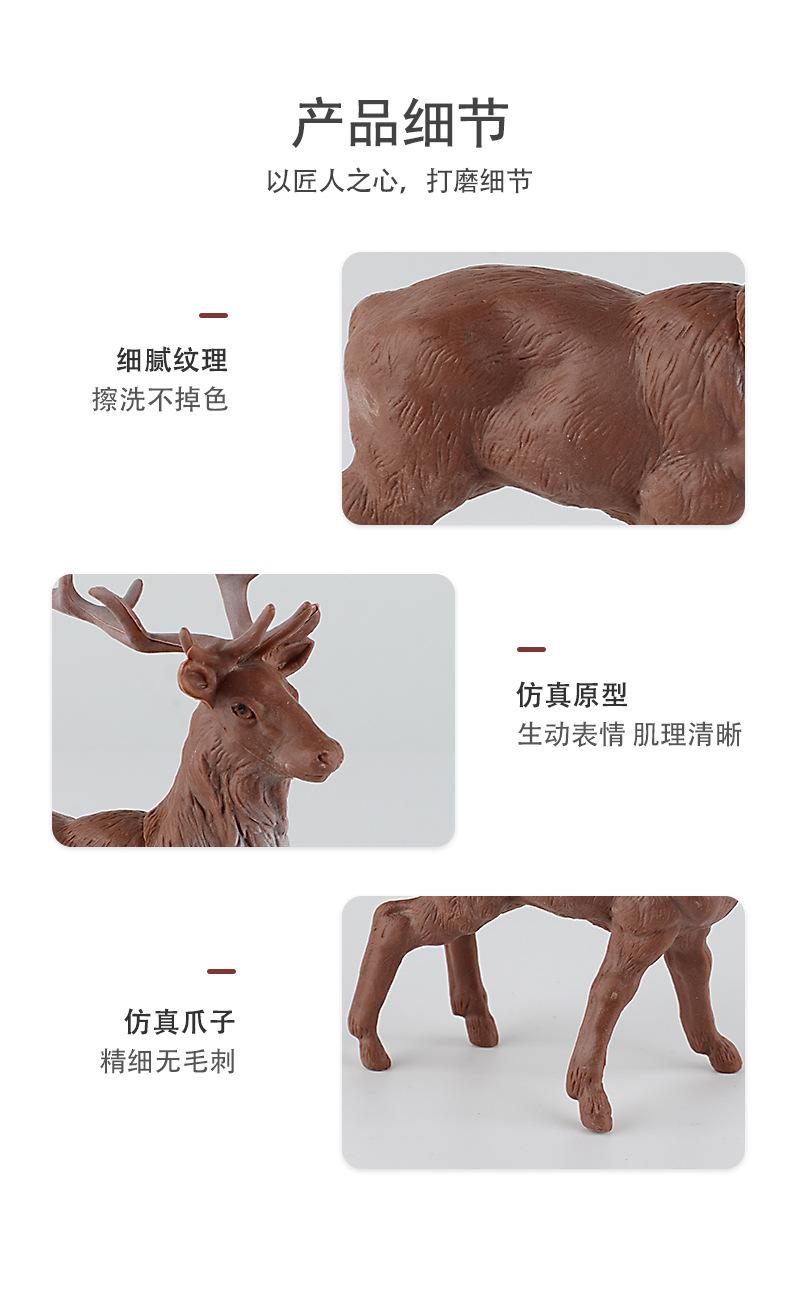 详情_10