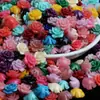 Laca Color Coral Polvo para Tallado Compactado Polvo de Concha Estéreo Flor Prensada Agujero Recto Flor de Rosa con Perlas Accesorios para Joyería DIY