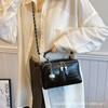 Bolso de Mano Nicho con Sentido del Diseño de Moda para Mujer 2024 Nuevo Bolso Cruzado de Moda para Viaje al Trabajo Bolso de Hombro para Mujer