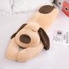 Suministro directo de fábrica muñeco de perro lindo juguete de peluche súper suave removible lavable almohada para dormir para hombres y mujeres venta al por mayor