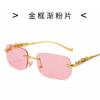 Gafas de sol cuadradas sin marco decorativas de guepardo, gafas de sol retro de metal para mujer, gafas de sol de moda transfronterizas al por mayor para hombre 2572