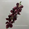 Flor artificial creativa de un solo tallo con un toque estrellado, orquídea Bandai, decoración fresca para escritorio, accesorio para arreglo de escena de boda