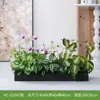 Hc-Cd3 Arreglo de Macetero de Flores de Planta Verde Simulada Combinación de Partición de Plantas Decoración de Paisajismo con Flores Artificiales Flores Falsas