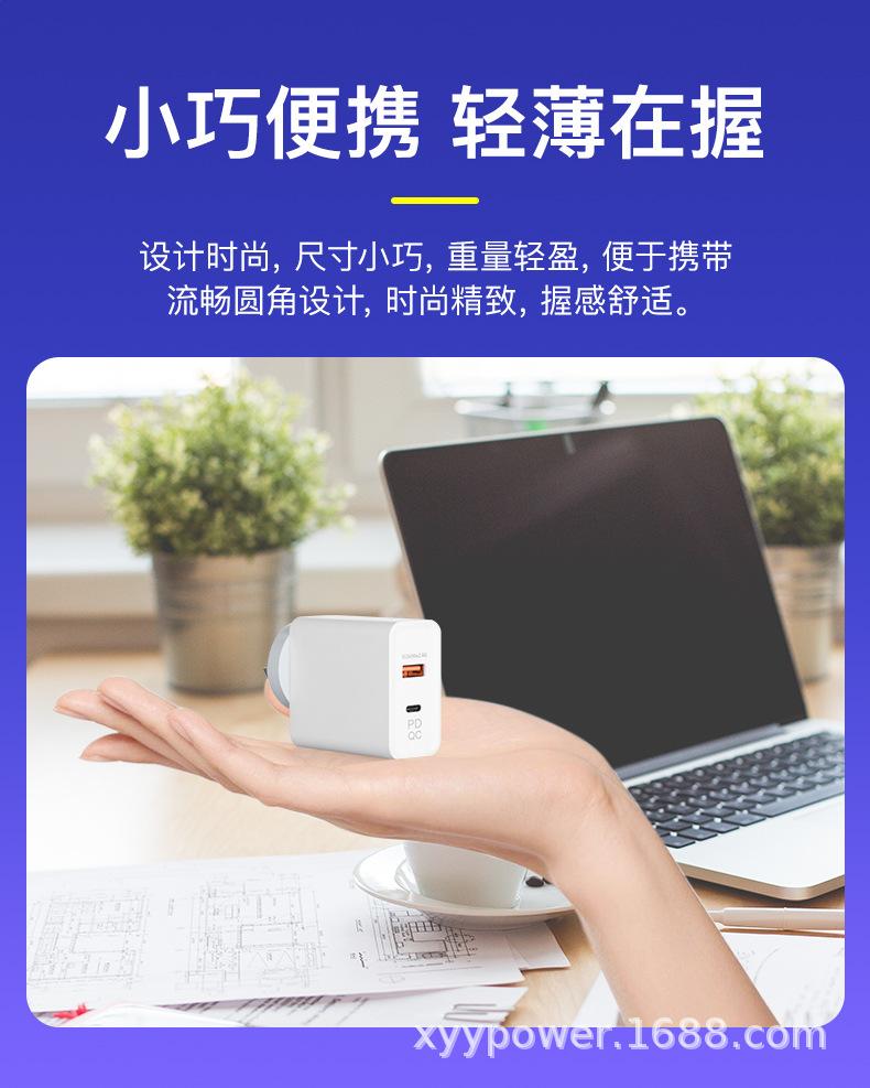 PD45W澳规C+A口智能分配