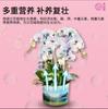 Pó de Bactérias Vivas para Plantas, Agente Microbiano Especial para Orquídeas, Nutre as Raízes, Fortalece as Raízes, Previne Raízes Podres, Fertilizante Solúvel em Água, Nutre as Flores e Protege as Raízes