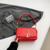 Bolso Cuadrado Pequeño Diseño Nicho Femenino 2024 Otoño e Invierno Nuevo Bolso de Hombro de Moda Bolso de Moda Versátil Bolso de Cadena Sobaco