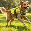 Arnés para mascotas, anti-estrangulamiento, transpirable, chaleco con correa para exteriores para perros, adecuado para Teddy, Corgi, perros grandes, medianos y pequeños, anti-pérdida y anti-escape