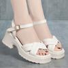 Sandalias de Mujer con Correa Fondo Grueso Cómodas Combinables Verano Nuevo Estilo Hada Plataforma Fondo Suave Zapatos Romanos de Mujer