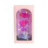 Regalo de San Valentín Cubierta Acrílica Luminosa LED Rosas para Cumpleaños de Novias Regalo del Día de la Madre para Mamá