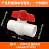 Accesorios para Tuberías de Agua PPR Calentamiento por Fusión en Caliente Válvula Grifo de Agua Interruptor 20 25 Accesorios para Tuberías de Calentamiento de Agua Doméstico Juego Completo Unión de Unión