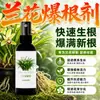 Agente Especial Estimulante de Raíces para Plantas de Orquídeas, Solución Nutritiva Especial para Orquídeas, Previene el Marchitamiento de las Hojas, Promueve el Enverdecimiento, Enraizamiento, Floración, No Requiere Dilución