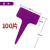 Inserto de Plástico en Forma de T Engrosado de Segunda Generación para Suculentas, Estaca Marcadora de Color Múltiple para Macetas, Suministros de Jardinería para Plantas