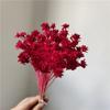 Flor de montanha pequena buquê de flores secas decoração luz luxo high-end diy material real flor air-dried importado espécime material de flor