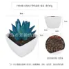 Planta Artificial de Plástico Mini Hecha a Medida Transfronteriza Maceta Adornos de Escritorio Planta de Simulación Plástico Suculento Flor Falsa Planta Verde Bonsái