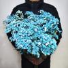Gipsofila Eterna DIY Dia dos Namorados Festival Qixi Flores Secas Buquê de Celebridade da Internet Fabricante de Yunnan Entrega Direta Atacado Seco ao Ar