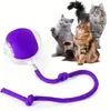 Brinquedo de Gato Brinquedo de Autoentretenimento para Gato Ioiô Brinquedo Pequeno para Gato Brinquedo para Animal de Estimação Brinquedo para Gato Suprimentos para Animais de Estimação