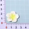 Novos Acessórios Coloridos de Resina Plumeria DIY Cola de Creme Fivelas para Sapatos Furados Grampos de Cabelo Brincos Acessórios para Capa de Celular