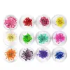 Joyería para arte de uñas 12 colores flor seca arte de uñas flor seca joyería para uñas suministros para arte de uñas de fototerapia 12 flores diferentes