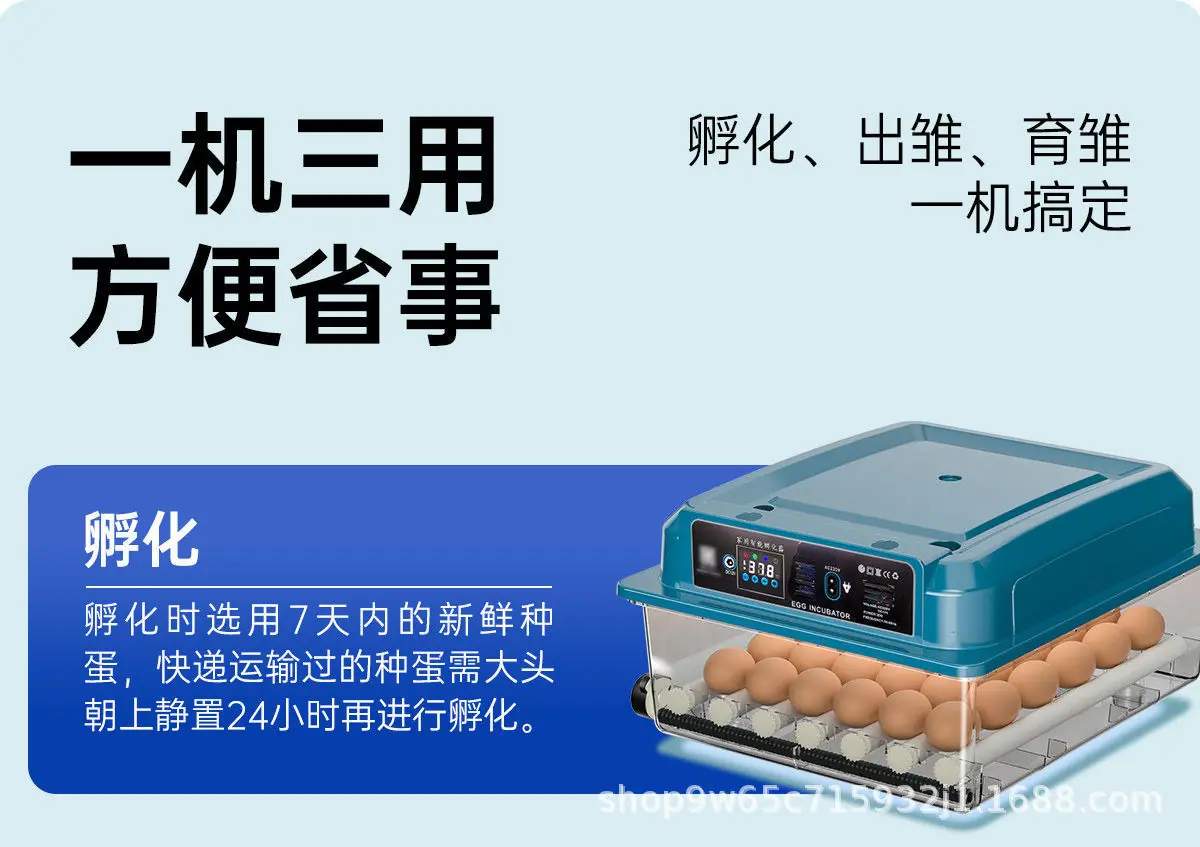 详情图片_10.jpeg