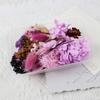 Flor Eterna Flor Seca Gipsofila Kit de Material DIY Aromaterapia Resina Rosa Flor Seca Não Me Esquecas Porta-Retrato Leque Redondo Design Criativo