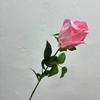 Oferta Especial Flores Artificiais para Casamento Quarto Modelo de Hotel Rosas Simuladas Hall de Casamento Guia de Estrada Flores Artificiais Decorativas Atacado