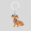 Chaveiro de Acrílico Desenho Animado Cachorrinho Transfronteiriço 2D para Feriado Pingente de Mochila Pequeno Presente para Atividade Criativo