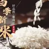 Calidad de primera clase 25 kg Arroz fragante de grano largo en forma de diente de gato de granja en terrazas de alta montaña 10 kg Arroz de seda recién molido para entrega directa a la cocción en olla de barro