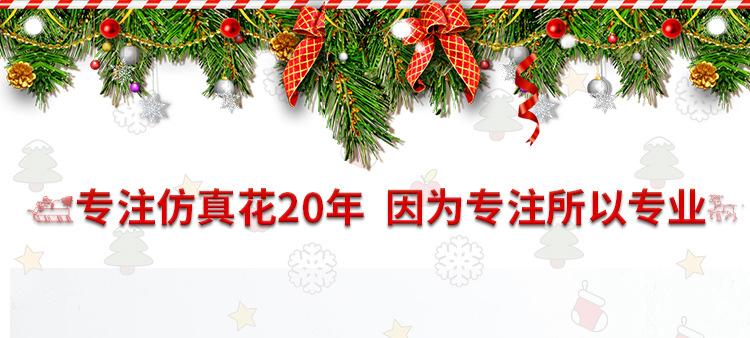 详情页_01.jpg