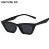 Nuevas gafas de sol estilo ojo de gato de celebridades europeas y americanas en línea, gafas de sol de moda para damas de color caramelo, gafas de sol con montura pequeña, venta al por mayor transfronteriza