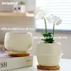 Vaso de Cerâmica para Flores com Prato, Estilo Ins de Luxo Leve, Diâmetro Grande, Estilo Creme, para Orquídeas e Suculentas, Liquidação