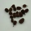 Pinhas Secas Flores Secas Frutas Secas Decoração de Natal Acessórios para Guirlanda Materiais Enfeites Retro Artesanal DIY Adereços para Fotografia