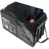 Batería Telong Tl12650 12V65Ah para Fuente de Alimentación de Sala de Servidores UPS, Iluminación de Emergencia y Panel de CC EPS