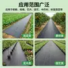 Tecido de Controle de Ervas Daninhas, Permeável Respirável Durável Agrícola Anti-Ervas Daninhas Anti-Envelhecimento Cobertura de Grama Tecido Barreira de Ervas Daninhas Atacado para Pomares e Árvores Frutíferas