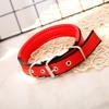 Collar para Mascota de Polipropileno Collar para Perro Cinta de PP Forro de Espuma Suministros para Mascotas Shuangyu [Personalización en Masa]]