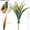 Amazon Transfronterizo Plantas Acuáticas Verdes Artificiales Pasto Orquídea Araña Plantas Arreglo Floral Exterior Decoración Planta de Color en Spray Arbustos Jardín