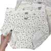 Bragas de Algodón Puro Suave para Mujer Talla Grande Florales Rurales con Refuerzo Extendido Cubre Cadera Cómodos Shorts de Cuatro Esquinas para Mujer
