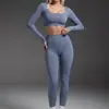 Conjunto de roupa de esporte ao ar livre sem costura europeu e americano, sutiã esportivo sem costura, calça comprida sem mangas e com costas abertas, secagem rápida para fitness e yoga