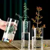 Florero Recto de Vidrio de Alto Borosilicato, Tanque de Peces para Plantas Verdes, Recipiente para Arreglos Florales, Maceta de Paisaje Hidropónico, Adorno de Vidrio