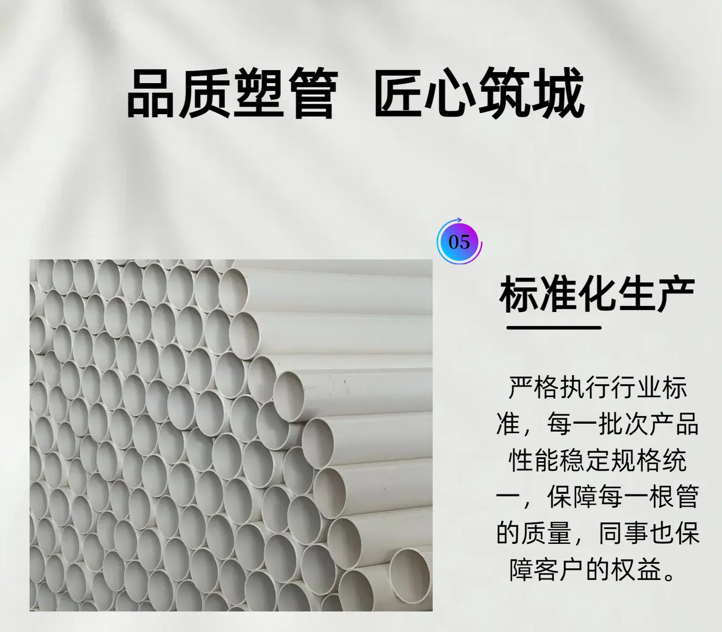 未命名的设计8