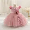 Novo Vestido de Princesa Infantil Vestido com Aplique de Borboleta Saia Tutu de Tule Vestido para Festa de Aniversário Vestido de Fantasia para Apresentação