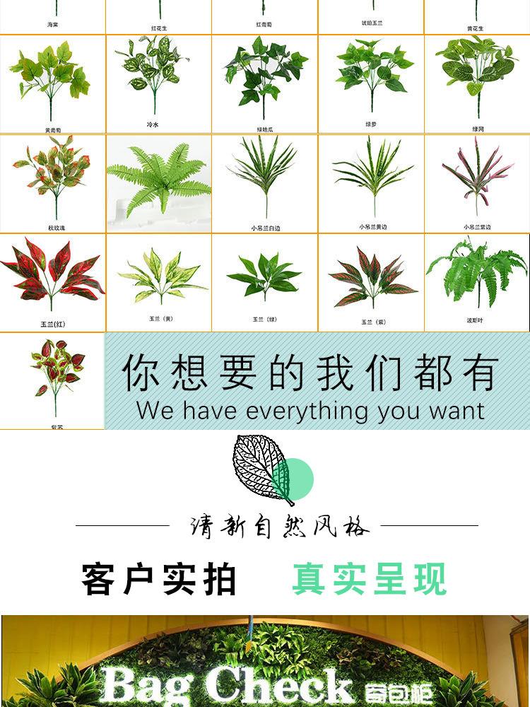 未标题-1-恢复的_08.jpg