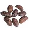 Juguetes para Loros: Loro Comiendo Fruta para Aliviar el Aburrimiento, Limado de Pico, Rodillos de Madera de Mango, Accesorios DIY de Piña