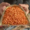 Nuevos Lanzamientos: Flores de Cordyceps Secas, Especialidad de Granja, Cabezas de Esporas de Cordyceps Sinensis Frescas Secadas al Sol
